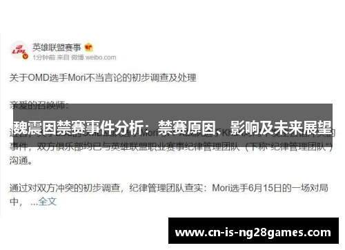 魏震因禁赛事件分析：禁赛原因、影响及未来展望
