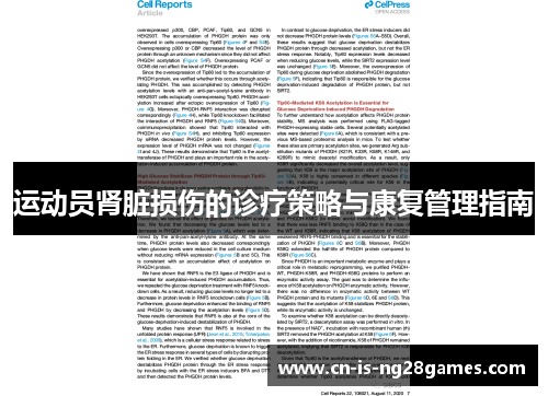 运动员肾脏损伤的诊疗策略与康复管理指南