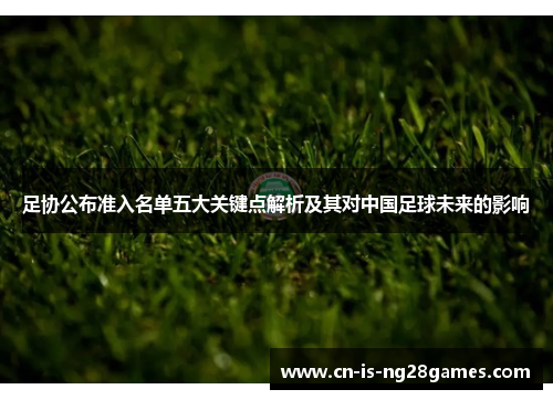 足协公布准入名单五大关键点解析及其对中国足球未来的影响 足协公布准入名单五大关键点解析及其对中国足球未来的影响