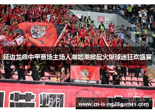 延边龙鼎中甲赛场主场人潮如潮掀起火爆球迷狂欢盛宴