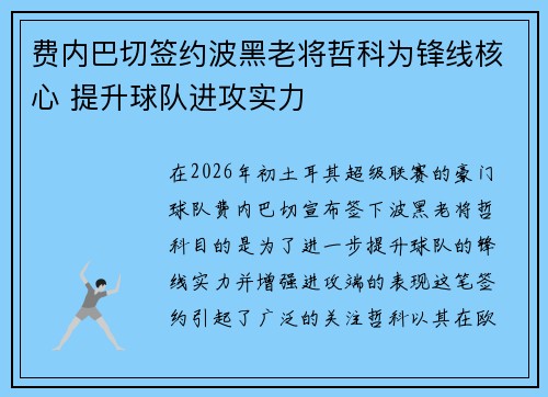 费内巴切签约波黑老将哲科为锋线核心 提升球队进攻实力