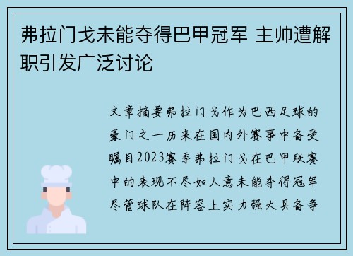 弗拉门戈未能夺得巴甲冠军 主帅遭解职引发广泛讨论